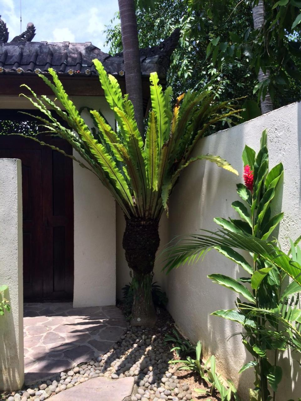 Villa Bulan Mas أوبود المظهر الخارجي الصورة